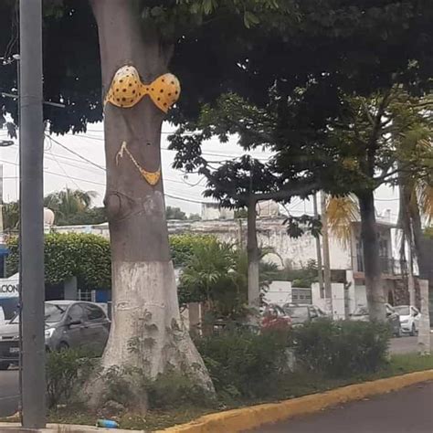 Quién es el artista detrás del tradicional árbol del bikini de Veracruz La Silla Rota