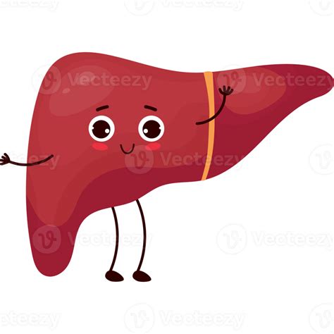 Happy Cartoon Liver 23254397 Png