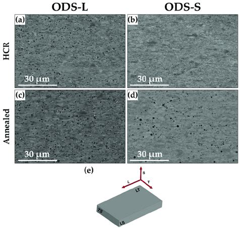 Bse Sem Images With Low Magnification Showing The Microstructure Of The