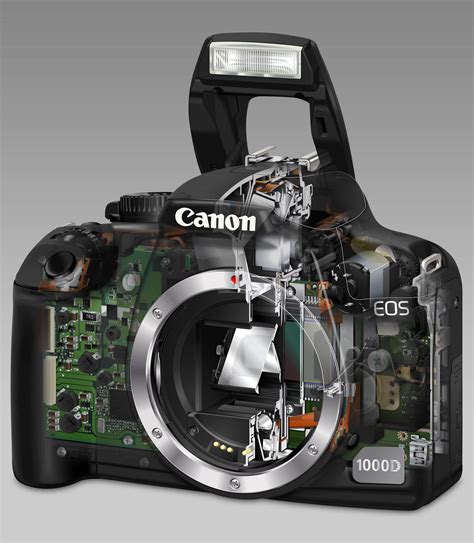 Canon EOS 1000D Digital SLR Review | ePHOTOzine