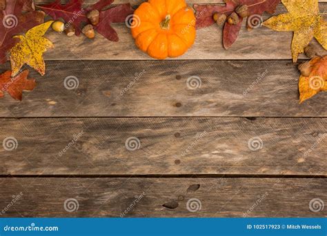 Holiday Fall Color Background Stock Image - Image of decor, corn: 102517923