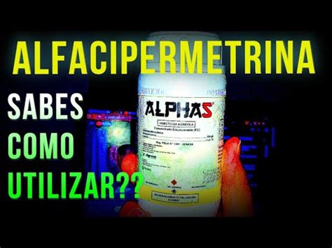 alfacipermetrina para que sirve - YouTube