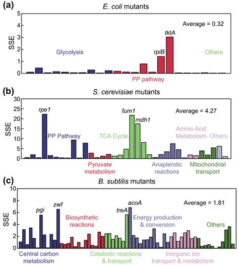 Prediction Of Metabolic Flux Distributions In Knockout Mutants Of E