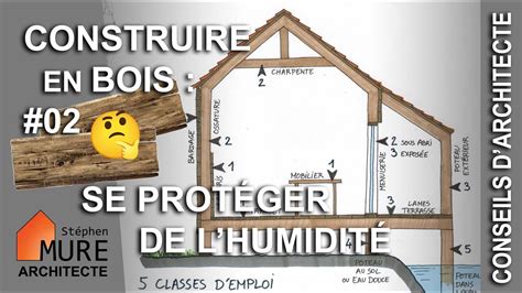 Protéger le bois de l humidité des champignons les 5 classes d