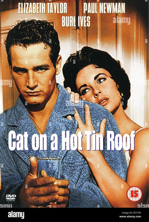 MOVIE POSTER CAT ON A HOT TIN ROOF 1958 Stock Photo Royalty Free Image 66537722 Alamy