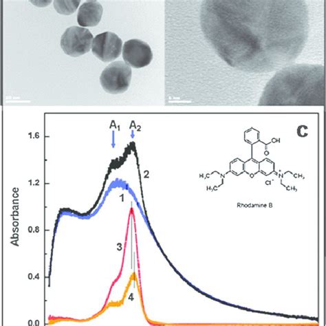 Normalized Fluorescence Spectra For Rhodamine B Solutions