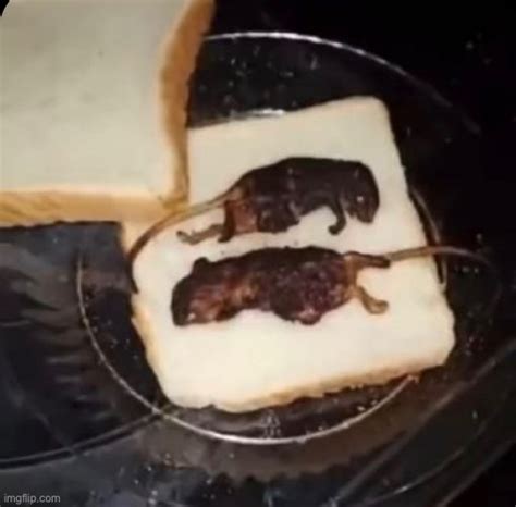 Lunch Imgflip
