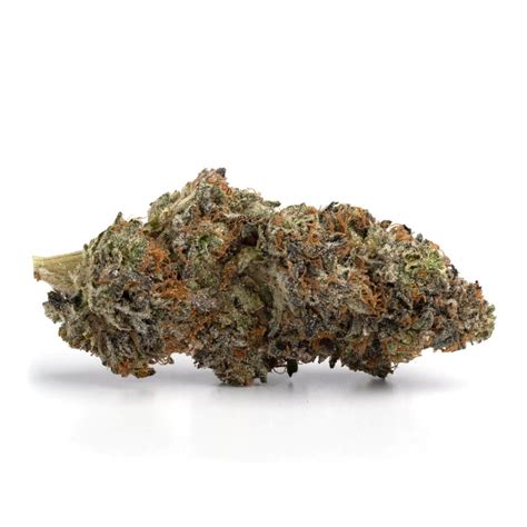 Buy ALASKA THUNDER FUCK AAAA Online Bud Cargo Online Dispensary Canada S Online Dispensary