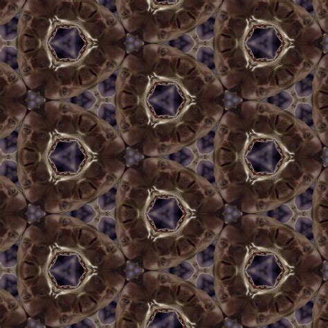 161 best Midichlorians images on Pholder | Prequel Memes, Starwarsmemes ...