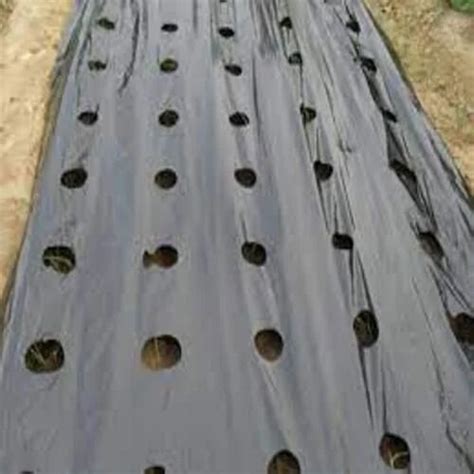 Plastic Black Silver Mulching Film Sheet For Agriculture 3 Feet 4