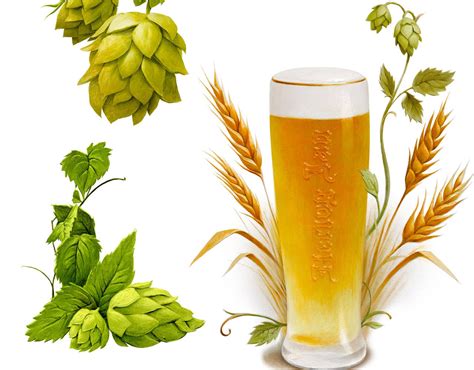 Zender graphic supply company