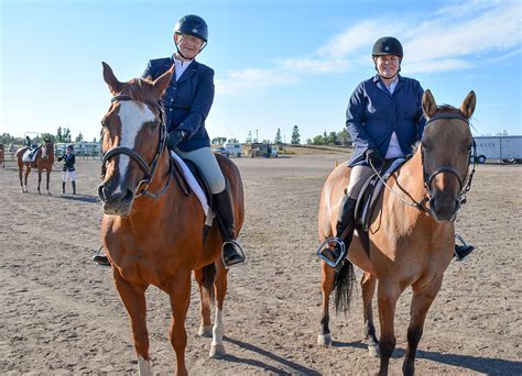 Riding A Horse Is Not Cheaper Than Driving A Car - Budget Equestrian