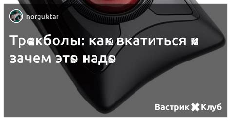 Трекболы: как вкатиться и зачем это надо — Вастрик.Клуб 🤘 ️👩‍💻‍
