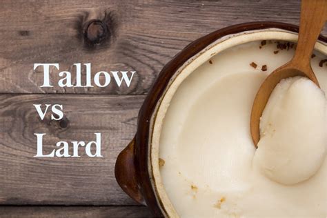 Tallow Vs Lard And A Bit Of Suet Differences Benefits Uses