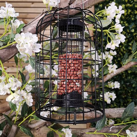 Tom Chambers Squirrel Proof Peanut Feeder Uk Garden