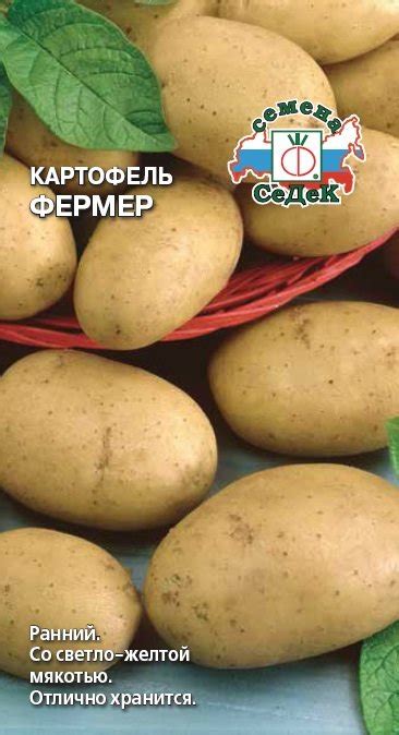 Купить семена Картофель Фермер (семена) в магазине Первые Семена по ...