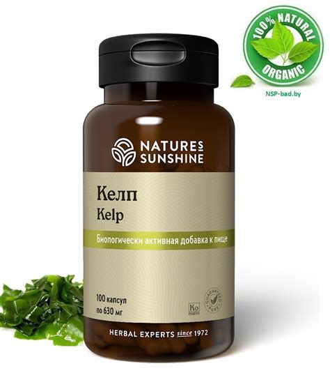 Келп НСП , Kelp NSP БАД, 100 капсул в Минске купить со скидкой 40% ...