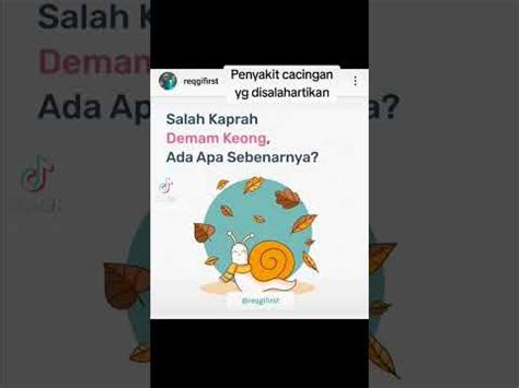 Salah Kaprah Demam Keong Ada Apa Sebenarnya Youtube