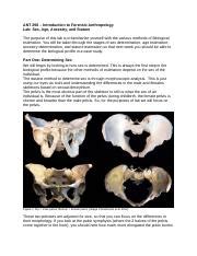 SexAgeAncestryStature Lab Docx ANT Introduction To Forensic Anthropology Lab Sex Age