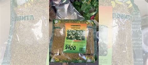 Клевер белый ползучий купить в Северном | Товары для дома и дачи | Авито