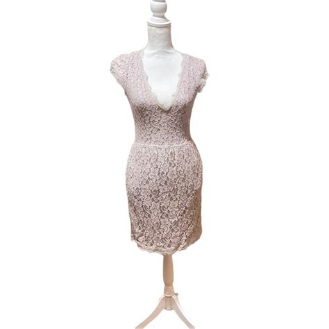 Babaton Aritzia Nude Lace Tobias Dress Gem