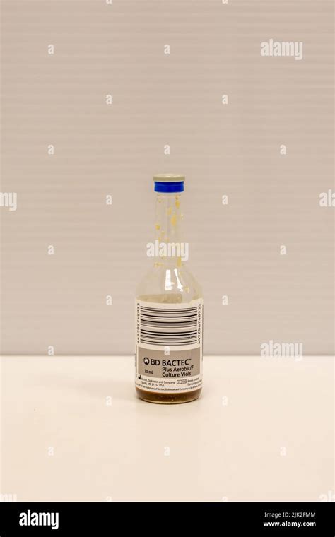 Bottle Of Blood Culture For Aerobic Bacteria Stock Photo Alamy