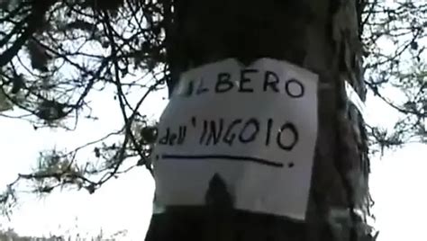 Orgia Porn Videos XHamster