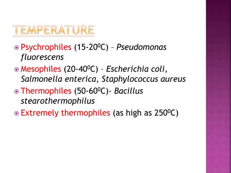 classification  bacteria pptx