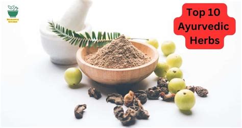 Top 10 Ayurvedic Herbs And Their Benefits For Better Health Bharadwaj