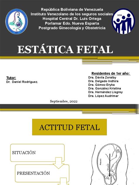 Estatica Fetal Pdf Anatomía Humana Reproducción Humana