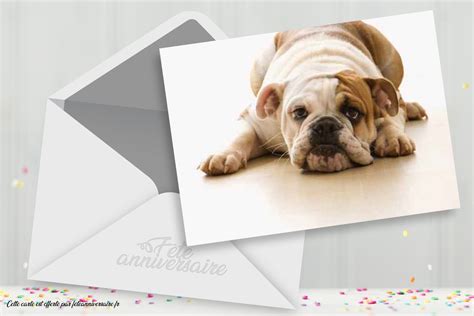 Carte Anniversaire Gratuite Chien Carte Virtuelle Gratuite