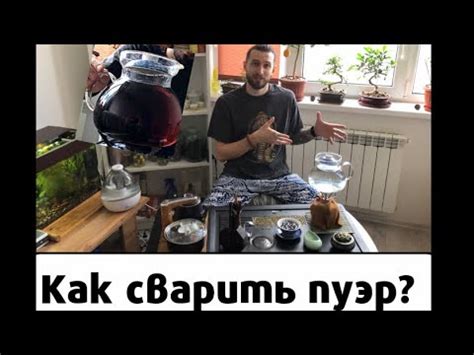 🍃 Как сварить пуэр? 🇨🇳 Пуер !!! - YouTube