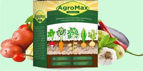 Удобрение Agromax (Агромакс): инструкция, реальные отзывы