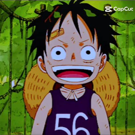 Monkey D Luffy O Futuro Rei Dos Piratas Youtube