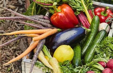 Try our easy-to-use planting guide - ABC Organic Gardener Magazine ABC