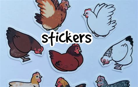 Cute Decorative Chicken Stickers Pack of 8 - Etsy