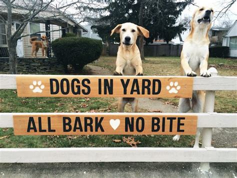 19 Funny Dog Signs That Will Make Every Dog Lover Smile