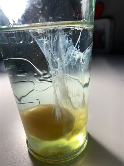 Egg Cleansing 101 5 Effective Steps To Perform An Egg Cleanse Artofit