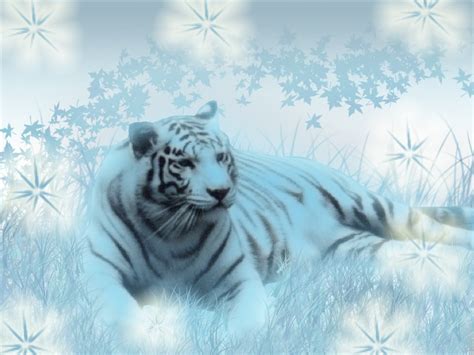 White Tiger Wallpapers Screensavers - WallpaperSafari