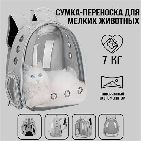 Рюкзак переноска для кошек и собак мелких пород - купить с доставкой по ...