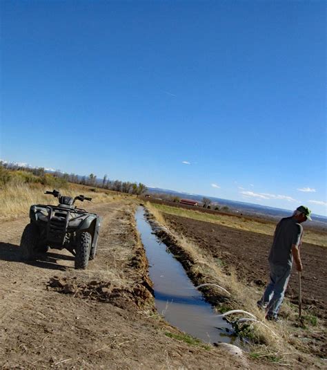 The Adventures Of Boo Berry Betty And TLC Cai Cai On Friday Its SO Hot Mom Is Even Tired Of