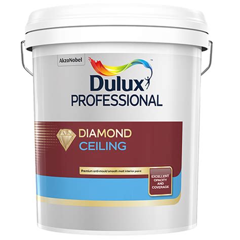 Dulux Professional IndonesiaSolusi Cat Yang Dirancang Khusus Untuk