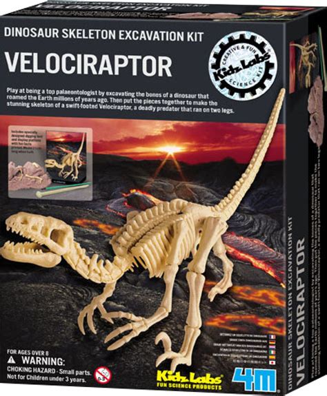 4m Kidz Labs Dinosaur Skeleton Excavation Kit Velociraptor Price In