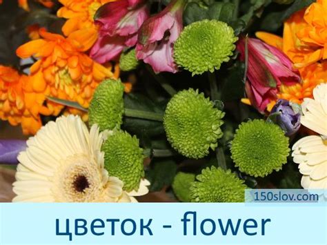 Тема Цветы на английском языке, названия цветов по английски – Онлайн ...