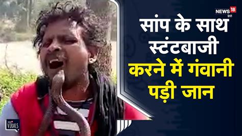 Viral Omg वह बार बार जहरीले सांप को कह रहा था गुरु जी और फिर सांप ने उसे डस लिया Youtube