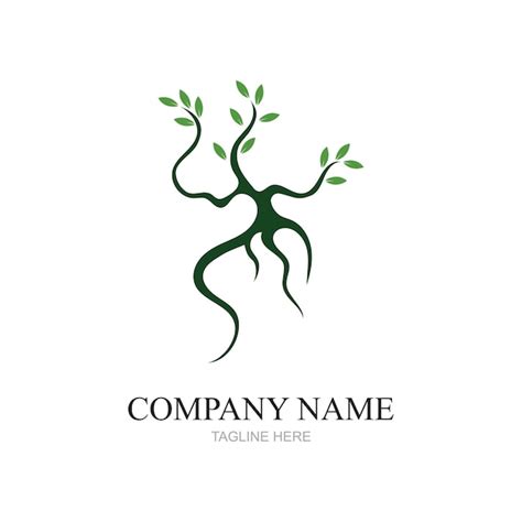 Mangrovenb Ume Und Mangrovenwald Kologie Logo Design Vektor Premium