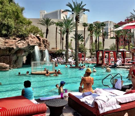 Flamingo pool las vegas - luxesalo