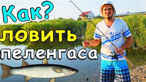 КАК ЛОВИТЬ ПЕЛЕНГАСА на МОРЕ с БЕРЕГА / СНАСТЬ + ЛИМАНСКИЙ ЧЕРВЬ - YouTube