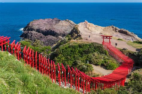 The Enchanting World Of Torii Gates In Japan The Art Of Zen