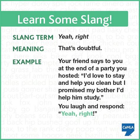 learn  fun slang term  totally sarcastic